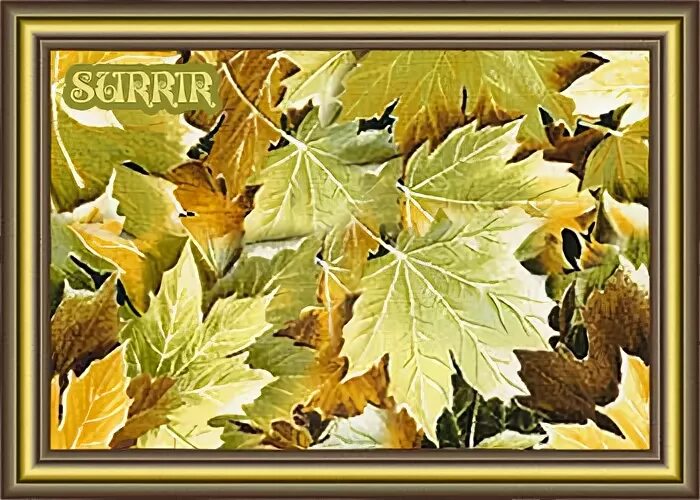 ковер в винтажном стиле. разноцветный ковер из листьев. осенний ковер. пестрая осень. осенний ковер.