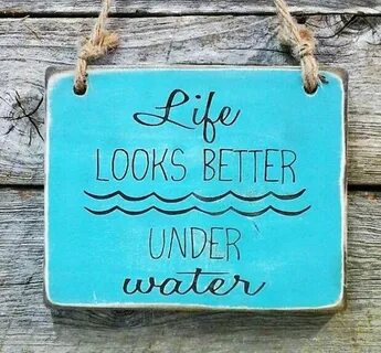 Look for life