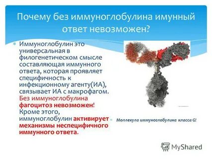 Зачем нужен иммуноглобулин