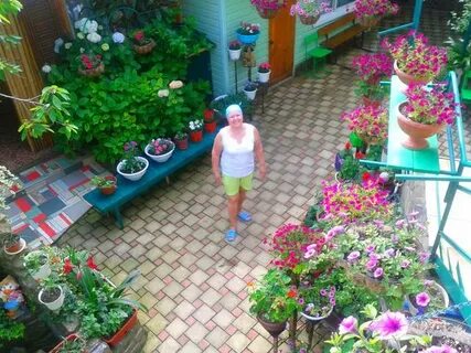 Лоо разина