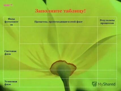Шаг темы