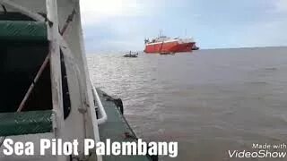 Sea pilots