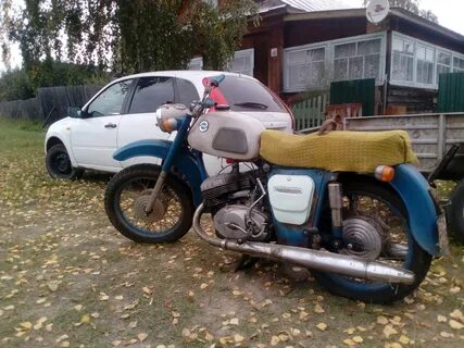 Г иж