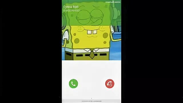 Номер телефона Спанч Боба. Номер телефона губки Боба. Номер губки Боба настоящий. Номер губки Боба убийцы. Номер губки боба