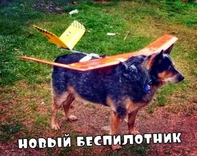Здесь любая