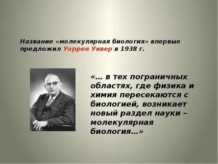 Впервые предложил