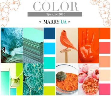 Color trends 2016