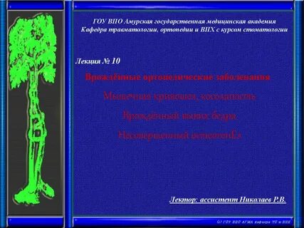 Лекции по травматологии