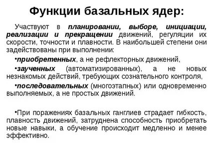 Роль базальных движений