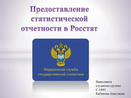 Государственная статистика отчетность