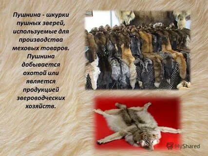Раньше функцию денег выполняли зерно и пушнина