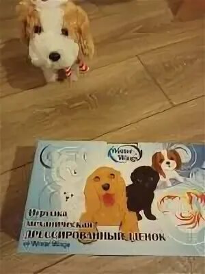 Песня дрессированный щенок. Дрессировщик собак в цирке. Собачья песня. Слова песни дрессированный щенок. Слова песни дрессированный щенок.