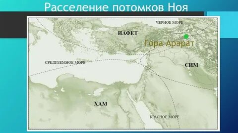 Ноя ти