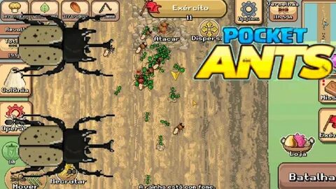 Pocket ants