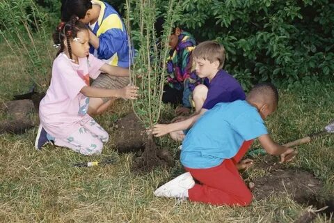 Help us help the environment