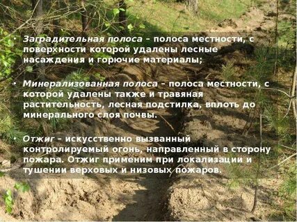 Полоса местности