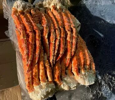Крабы в мурманске