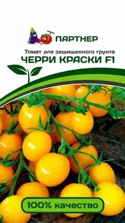 Томат помидор семена партнера