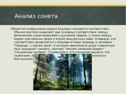Анализы сонетов