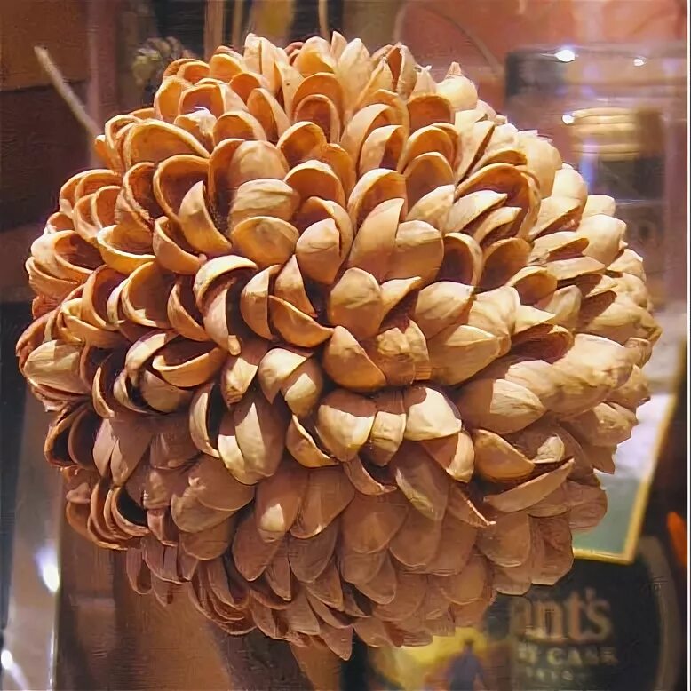 Фисташковые скорлупки