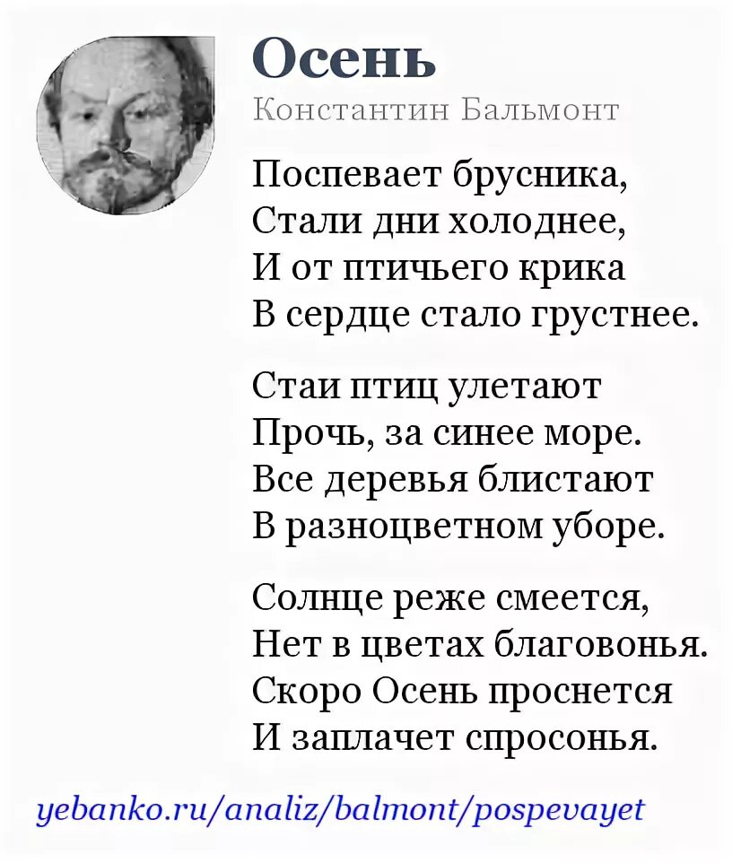 Легкие стихи бальмонта. Бальмонт стихи поспевает брусника. Стихотворение Константина Бальмонта поспевает брусника.