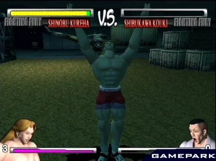 Fighting fury