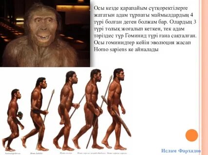 Қара адамнан әйелінің кискасындағы кончаркасы