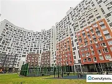 Академика легостаева