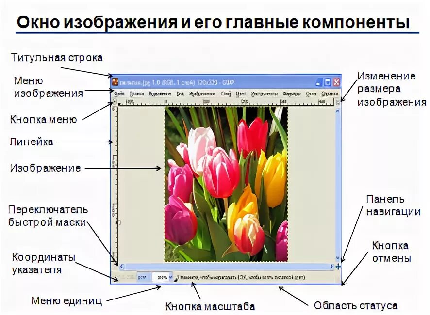 Практическая работа обработка и создание растровых изображений. Интерфейс какой программы изображён на картинке?. титульная строка. работа с растровыми изображениями учебник. растровый дисплей.