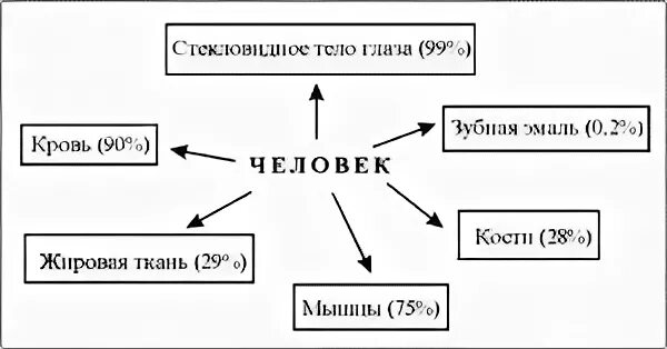Зависит ли жизнь человека