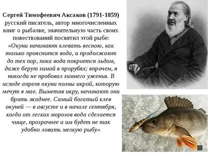 История про рыбалку