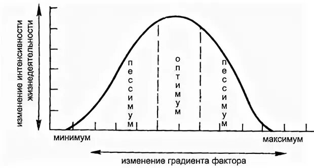 Действие экологических факторов на организм. Схема действия фактора среды на организмы. Схема действия фактора среды на организмы. Схема воздействия экологических факторов на организм. Схема действия фактора среды на организмы.