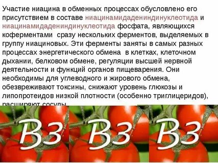 Состав присутствие