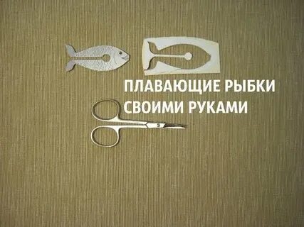 Эксперимент рыба