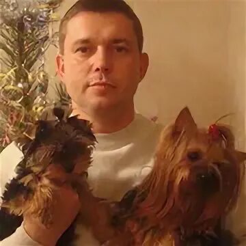 Сергея шило 186. Сергея шило 186