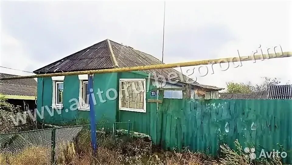 Селе сафоновка белгородская область. Дома на продажу в селе сухосолотино. Сафоновка курская область. Деревня сафоновка тульская область. Погода в сафоновка белгородская область.