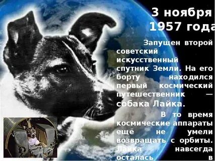 4 ноября 1957