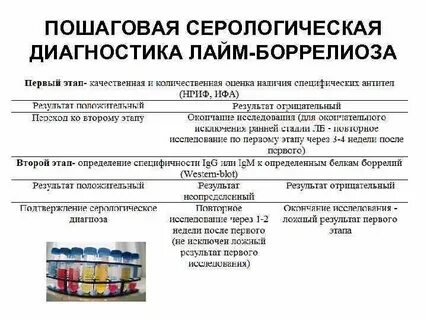 Боррелиоз диагностика