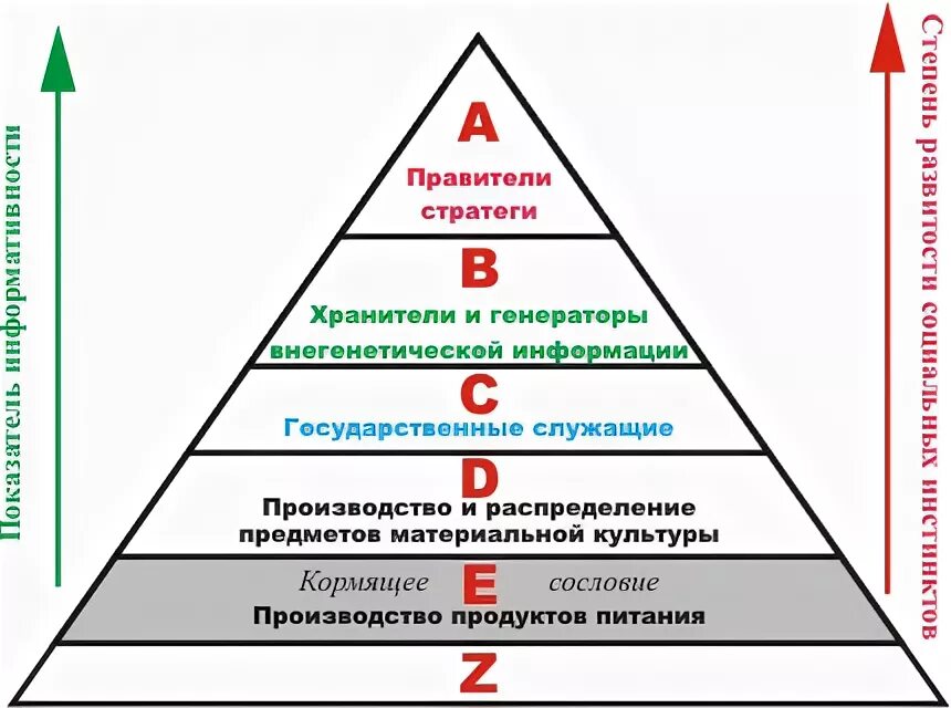 расовая иерархия пирамида. расовая пирамида гитлера. пирамида мирового правительства. расовая иерархия. расовая иерархия россии.