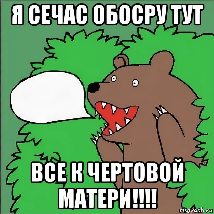 Медведь Мем. Медведь обкакался. Мемы с медведем.