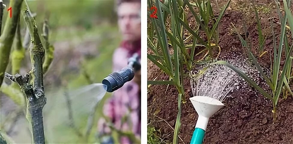 Полив борной