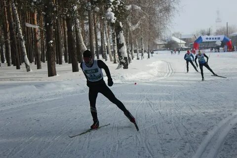 8 зимних спортов