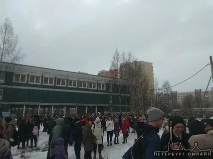 Лицей 369 дневник