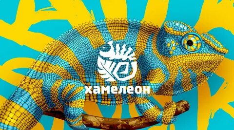 Хамелеон гомель