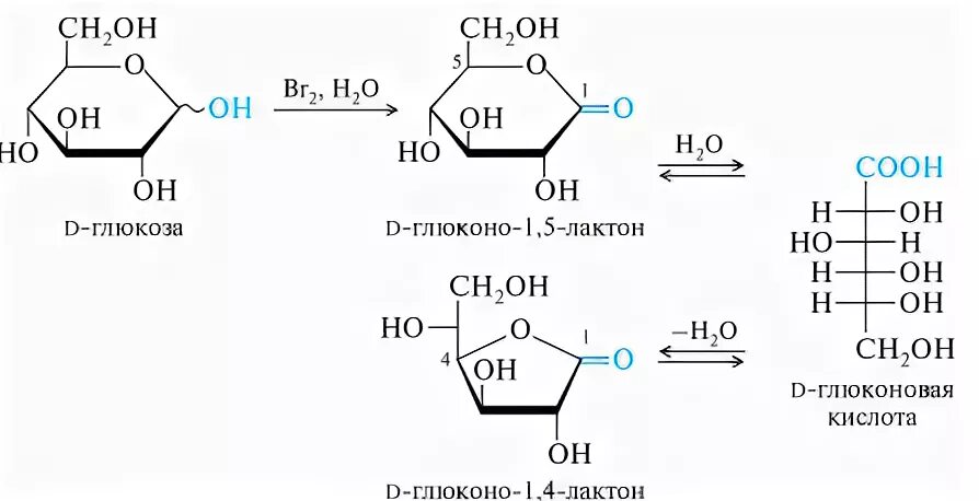 Глюконова цена. Лактон глюконовой кислоты. Гликоновые, гликаровые, гликуроновые кислоты.. Глюконо-1,5-лактона. Глюконовая кислота формула.