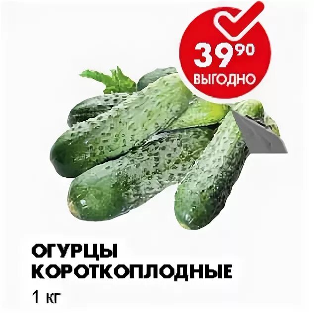 Пятерочка огурцы свежие. Пятерочка огурцы свежие. Огурцы в пятерочке. Пятерочка огурцы свежие. Корнишоны пятерочка.