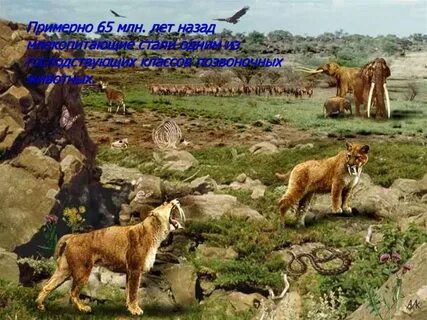 25 миллионов лет назад