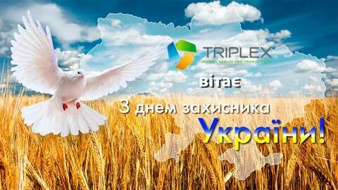 С днем рождения мирного неба