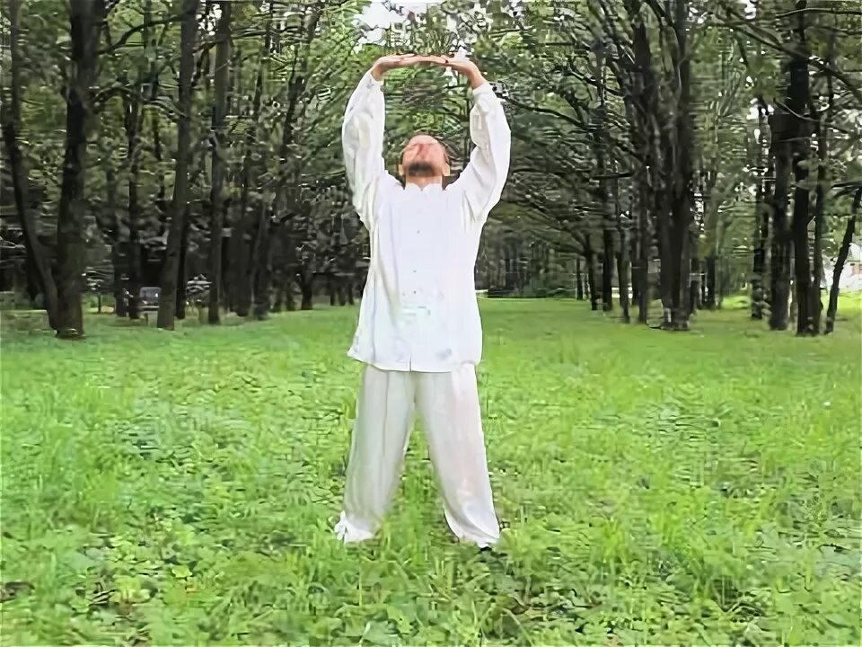 Цигун 8 видео. Цигун 8 кусков парчи. Цигун 8 видео. Фестиваль боевых искусств. Цигун 8 видео.