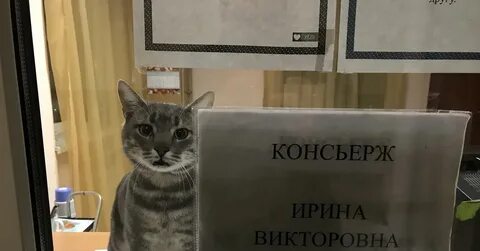 Консьерж прошел по линии отмеченной на рисунке
